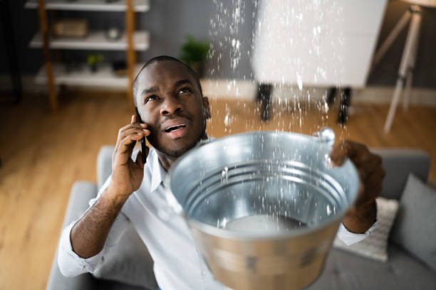 Best Residential water damage restoration  in Medford, MN