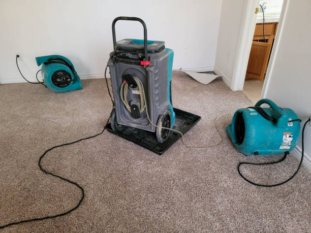 Best Residential water damage restoration  in Medford, MN