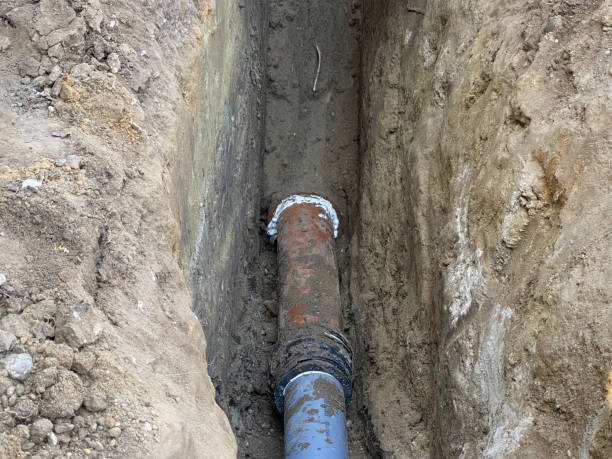 Best Flood damage cleanup  in Medford, MN