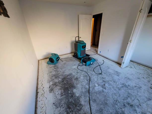 Reliable Medford, MN Water damage restoration Solutions