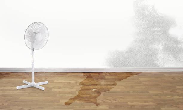 Best Commercial water damage restoration  in Medford, MN