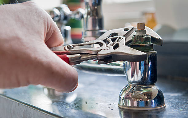 Best Water damage cleanup near me  in Medford, MN