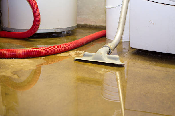 Best 24-hour water damage restoration  in Medford, MN