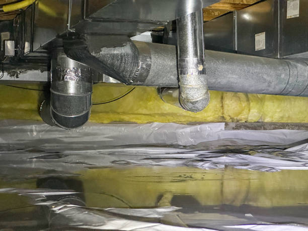 Best Local water damage restoration  in Medford, MN