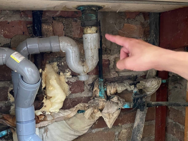 Best 24/7 water damage repair  in Medford, MN