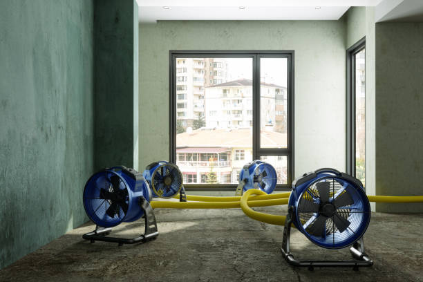 Best Mold removal after water damage  in Medford, MN
